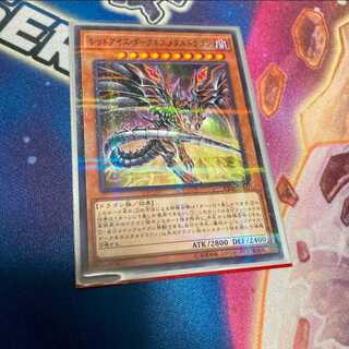 遊戯王　レッドアイズ ・ダークネスメタルドラゴン　ノーパラ　１枚