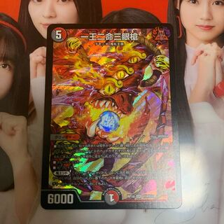 バラド・ヴィ・ナシューラ 1枚