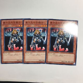 異次元の女戦士