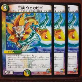 old4285セット割引　三族 ウェカピポ