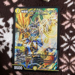 神聖龍 エモーショナル・ハードコア