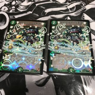 フェアリーライフセット ①