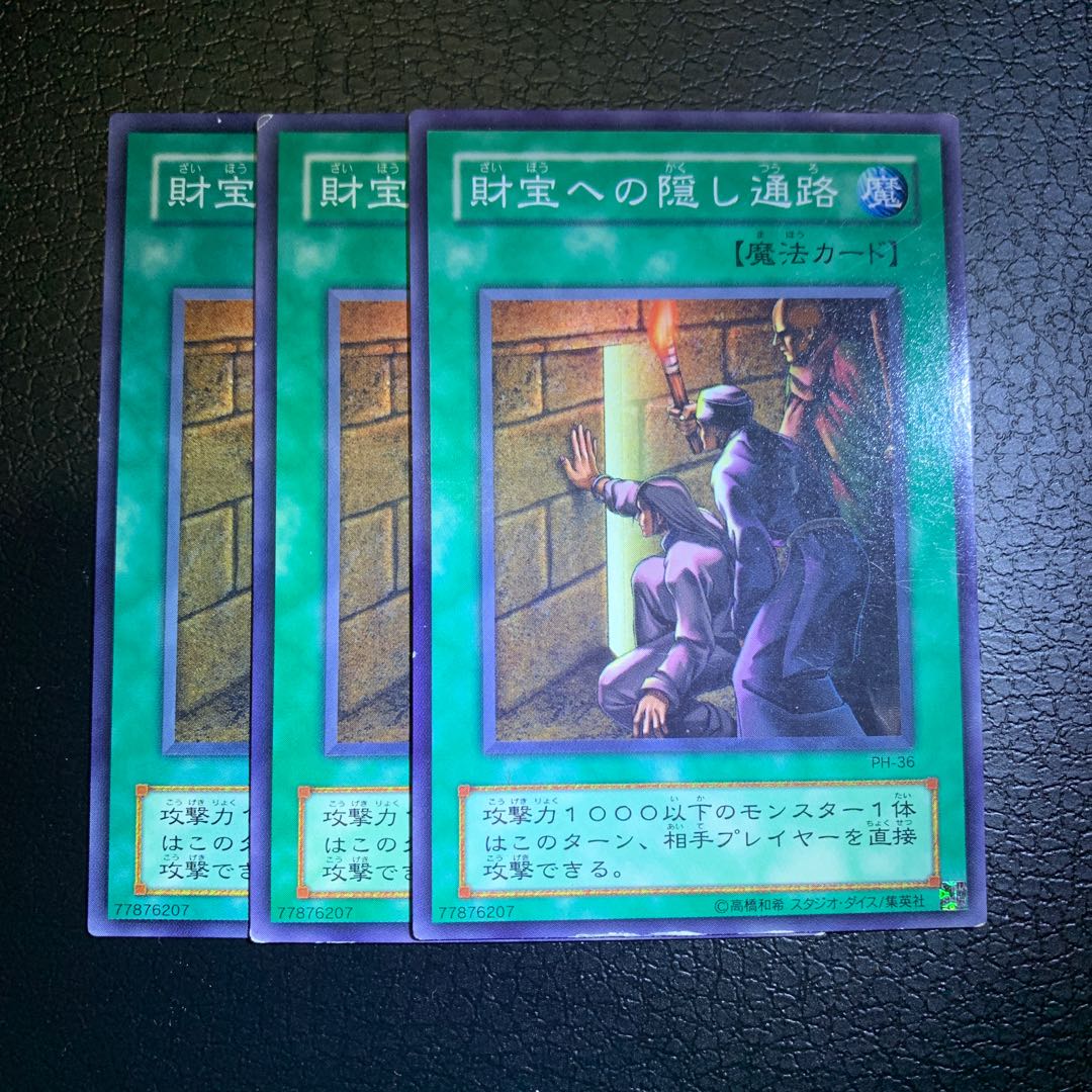 財宝への隠し通路 1枚