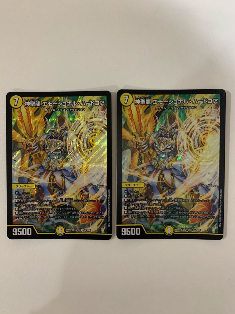 神聖龍 エモーショナル・ハードコア ２枚