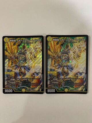 神聖龍 エモーショナル・ハードコア ２枚