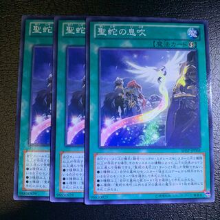 聖蛇の息吹 ノーマル