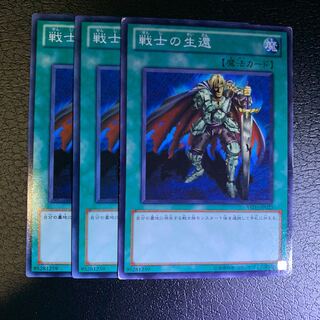 戦士の生還 ノーマル