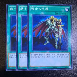 戦士の生還 ノーマル