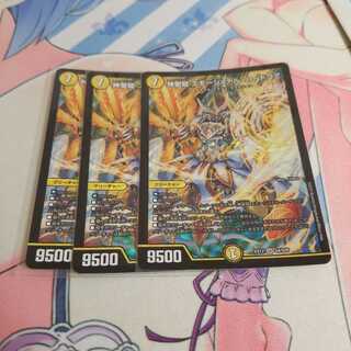 神聖龍 エモーショナル・ハードコア SR