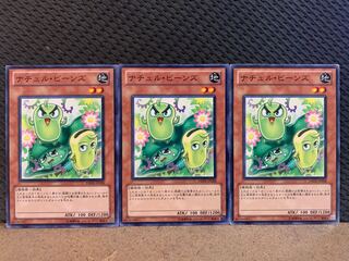 【ぽぽたん】遊戯王 10632 ナチュル・ビーンズ 3枚 ノーマル