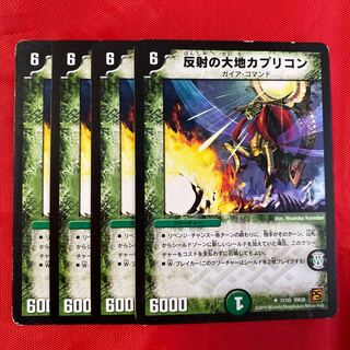 反射の大地カプリコン