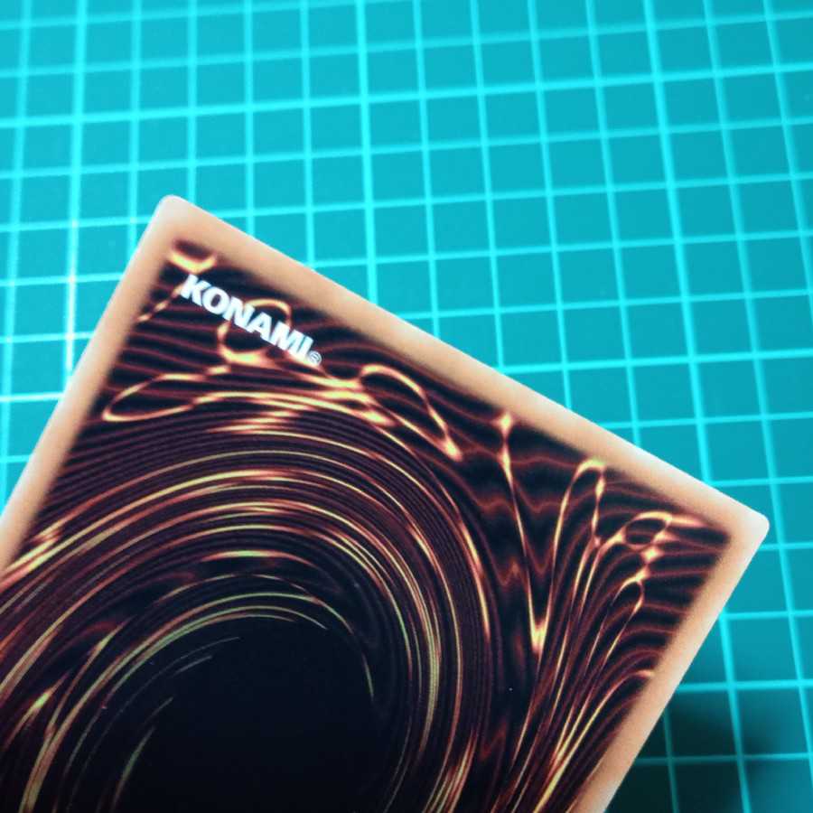 ガーデン・ローズ・メイデン 北米 海外 英語 シークレット シク