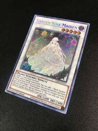 ガーデン・ローズ・メイデン