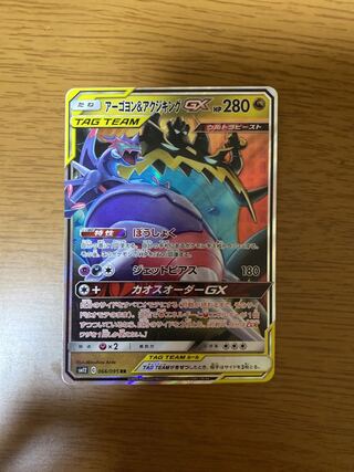 アクジキングGX 専用