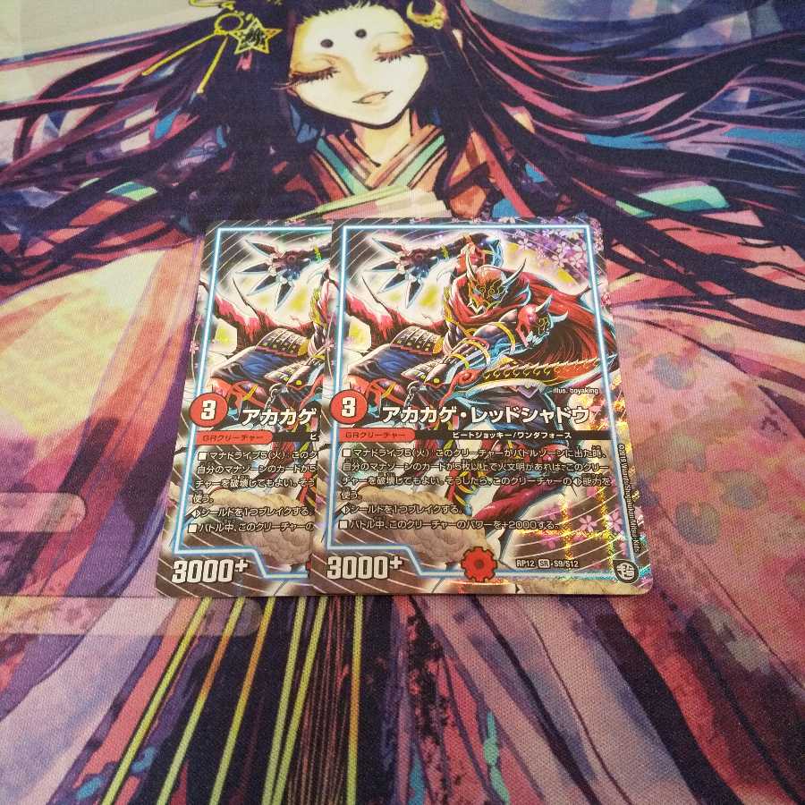 即日発送 アカカゲ・レッドシャドウ