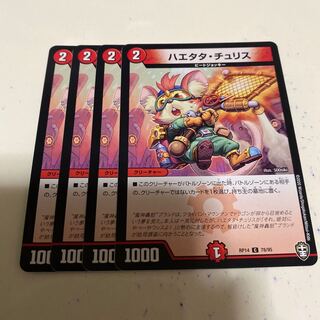 ハエタタ・チュリス