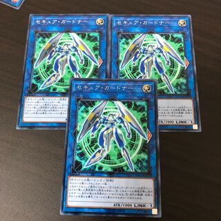 セキュア・ガードナー レア
