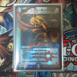 ニコル・ボーラス