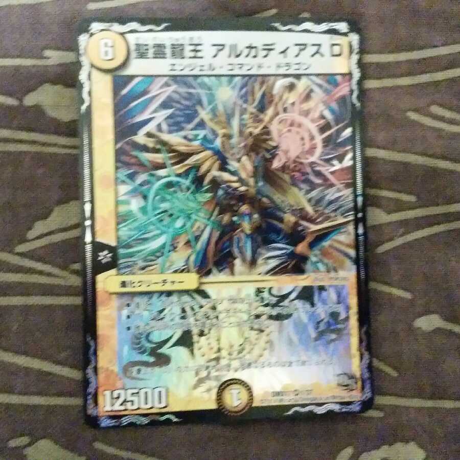 聖霊龍王 アルカディアスD