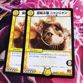 寝転ぶ猫 ニャンニャン