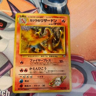 Charizard of Katsura