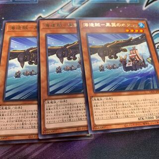 海造賊-黒翼の水先人 レア