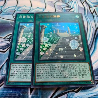 白薔薇の回廊 ウルトラレア　他