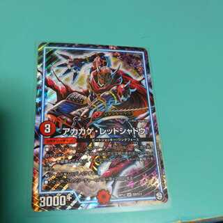 アカカゲ・レッドシャドウ