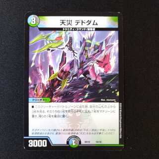 Natural disaster Dedom 1 piece