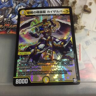 歴戦の精霊龍 カイザルバーラ VR