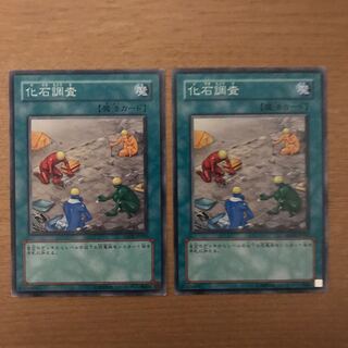 化石調査 ノーマル