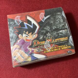 ドイツ語版　DM-06 未開封