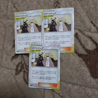 シロナ&カトレアセット