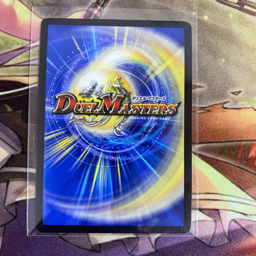 「絶対の楯騎士」