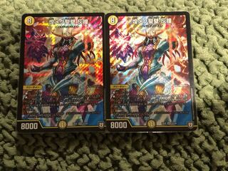 即日発送　煌メク聖壁　灰瞳　2枚