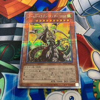 専用　アームド・ドラゴン・サンダー LV10 プリズマティックシークレットレア