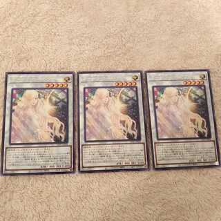 ガーデン・ローズ・フローラ