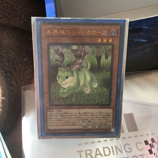 未界域のジャッカロープ ウルトラレア