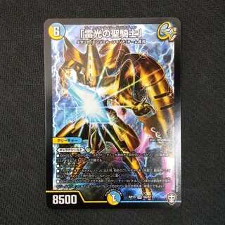 「雷光の聖騎士」1枚