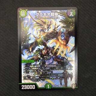 ブラキオ龍樹 1枚