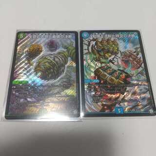 生命と大地と轟破の決断 知識と流転と時空の決断