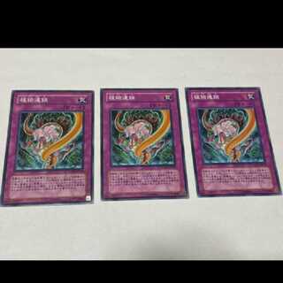遊戯王 植物連鎖 3枚 型番あ-1963