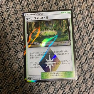 ライフフォレスト