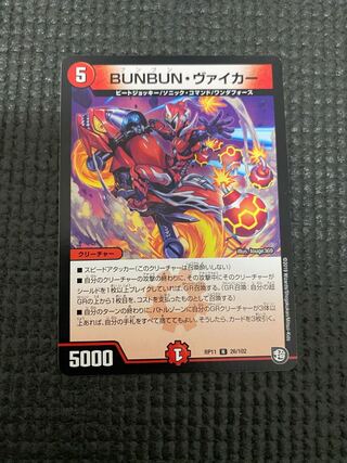 BUNBUN・ヴァイカー