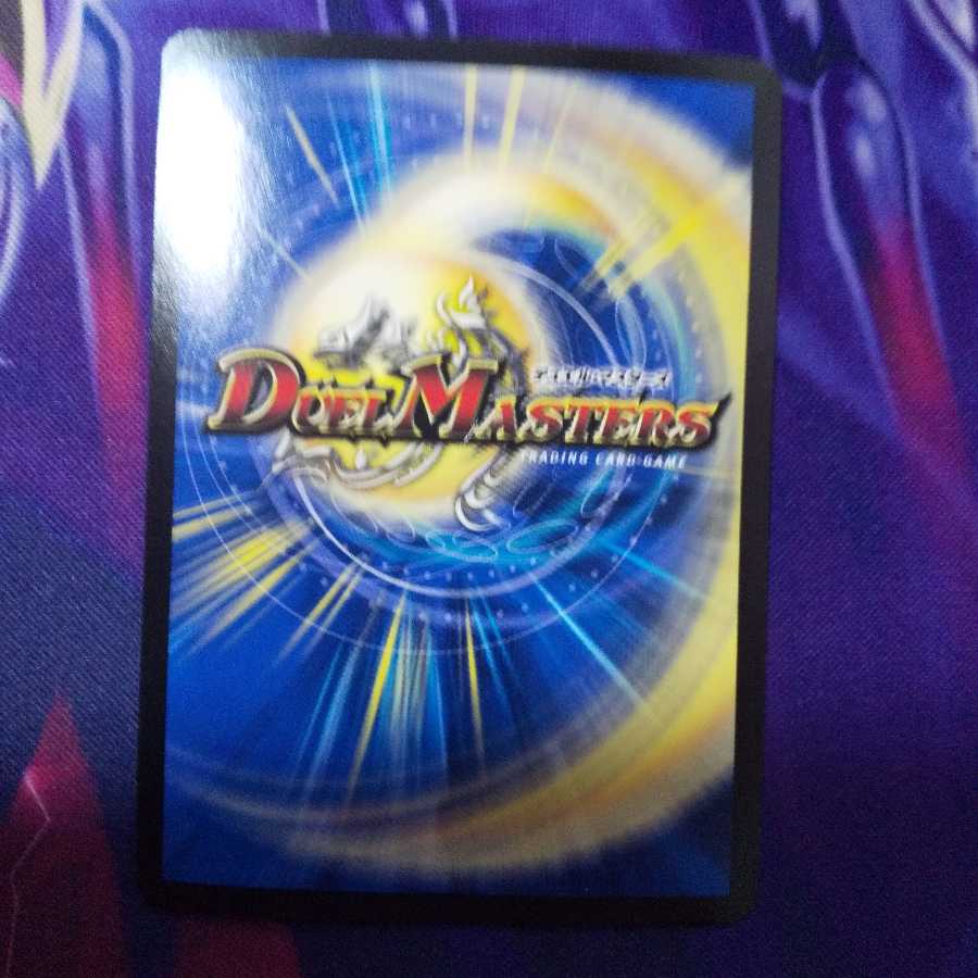 【専用】バサラ