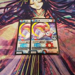 麗泳者 マツバメモノ(キンキラ王BOX仕様)