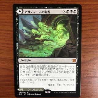 アガディームの覚醒 日 ZNR 1枚