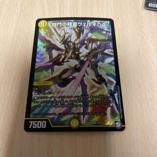 闘門の精霊ウェルキウス