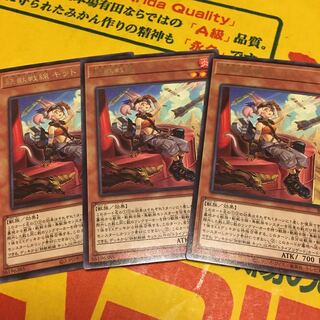 鉄獣戦線 キット レア