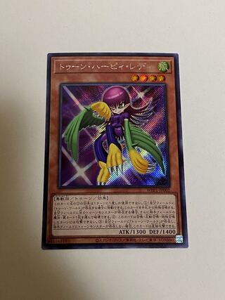 トゥーン・ハーピィ・レディ　シークレット